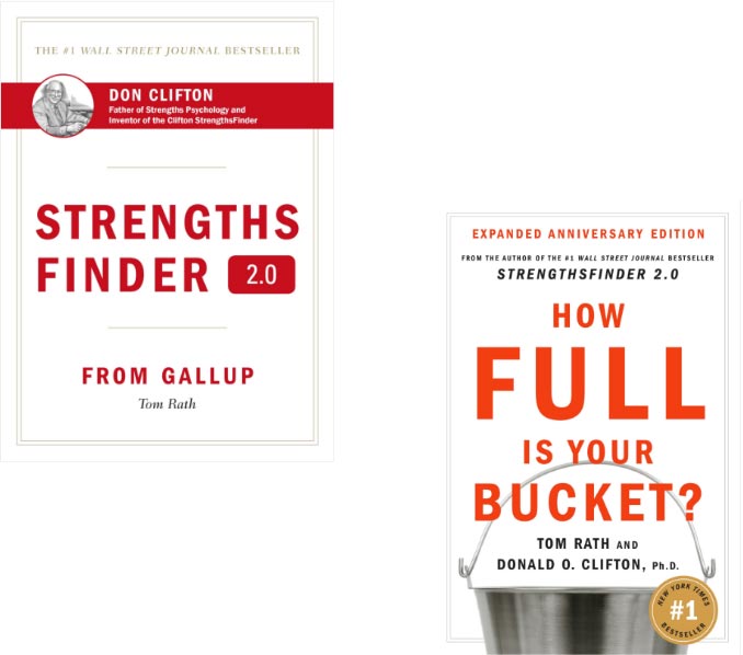 strengthsfinder 2.0 with code